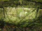 image of grave number 559188